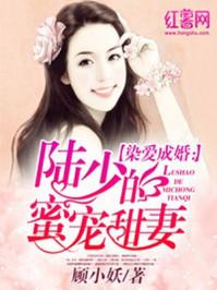 陆少蜜宠甜妻全文阅读