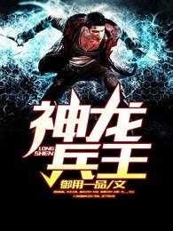 神龙兵王免费阅读全文